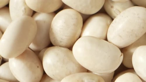 Close Up of Pile of White Beans