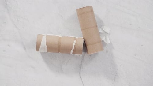 Used Empty Toilet Paper Rolls on a Gray Background