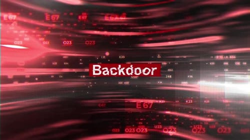 Hintertürwörter beim Hacken auf digitalem Hintergrund