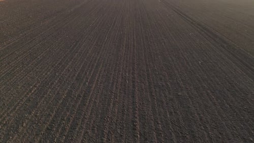Landwirtschaftliches Ackerland Feld 74