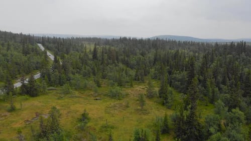 Asphalt Road Through Verdant Forest And Mountain Landscape In Jamtland, Sweden. aerial
