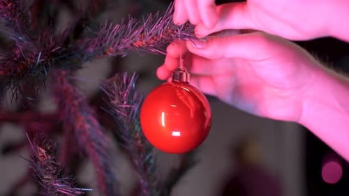 Red Christmas Ornament Hung on Tree Branch