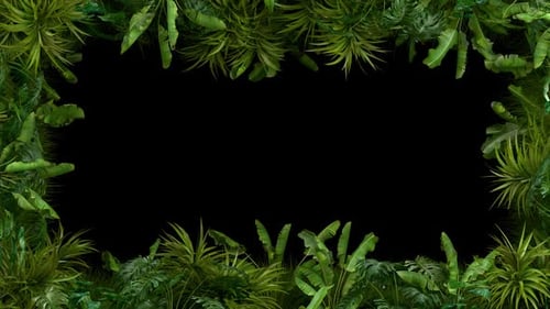 Lush vibrant tropical foliage creating a dynamic frame for video
