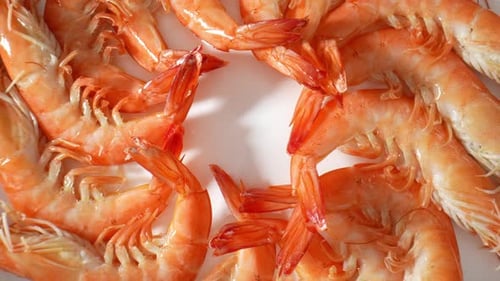 Cooked shrimp with shell in stunning footage. 4K.