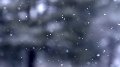 Snowfall background, small snowflakes in slow motion, winter wonderland, bokeh shot, static