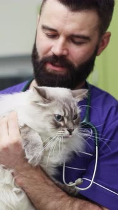Veterinarian Holding a Fluffy Cat in Exam Room
