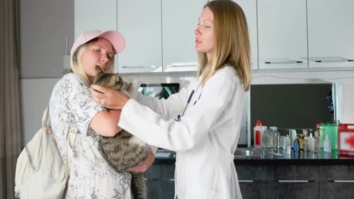 Veterinarian Examining Cat with Owner in Office