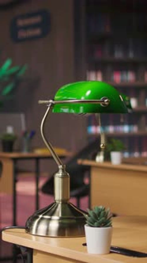 Vertical Video Empty Heritage Library Filled with Vintage Decorations and Refined Wooden Desks