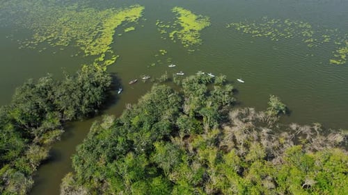 Aerial View of Supboarders Serenely Floating Across the Lake