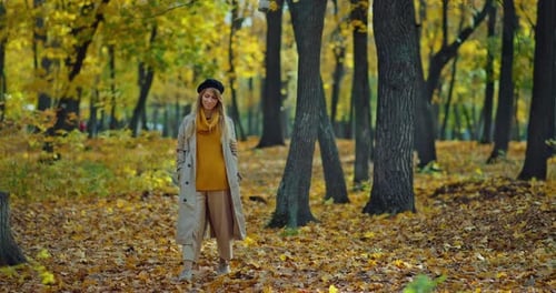 Beautiful Young Woman Walking in Autumn Forest in Morning Good Mood and Joy Portrait Prores