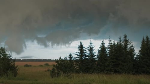 Thunder Storm Clouds Move Over the Trees in a Field