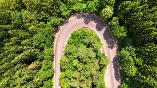Turn of the road surrounded by the lush woods. Several cars ride by the highway.