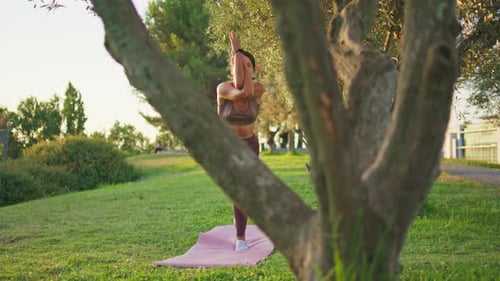 Sporty Lady Practicing Asana at Sunny Park Yoga Model Standing One Leg Pose