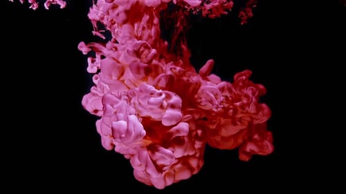 Abstract Pink Ink Plume Flowing on Black