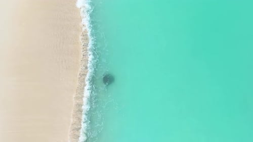 Vue aérienne de la raie dans l'océan, Maldives.