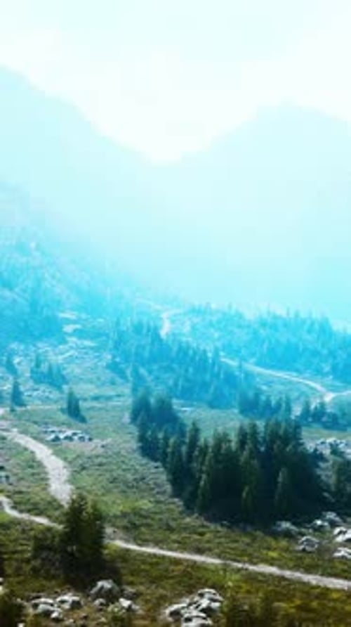 Winding Road in the Mountains with Pine Forest