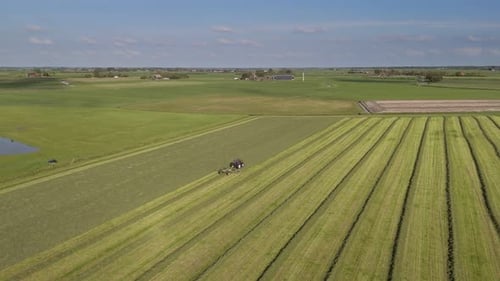 Harvesting Rows: Aerial Shot of Tractor Gathering Grass on Farmland