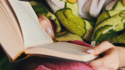 Frau ist damit beschäftigt, ein Buch zu lesen, während sie zu Hause auf einem gemütlichen Sofa sitzt