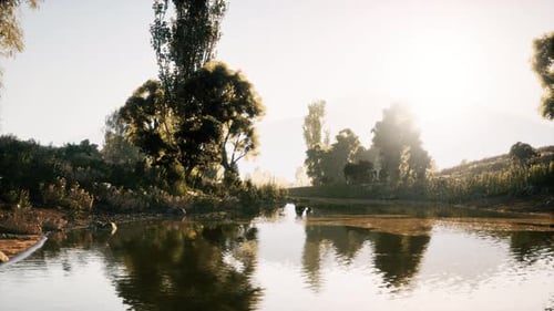 Tranquil Morning By the Serene Lake Surrounded By Lush Greenery