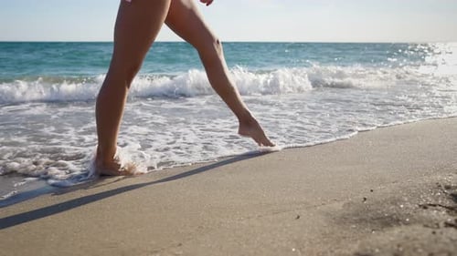 Beautiful Slim Female Legs Walk Barefoot Sea Coast