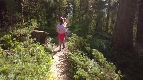 Some Little Girls On A Path In The Woods