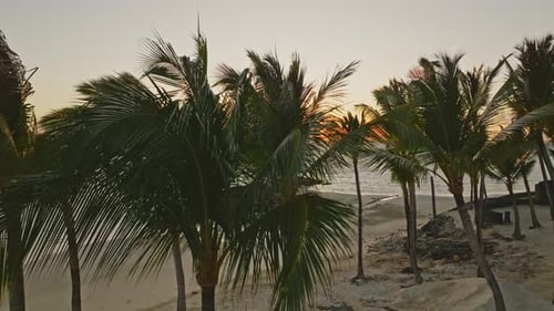 Drohnenaufnahme des Sonnenaufgangs am Strand aus der Luft. Sicht auf die Palmen und die Meereslandschaft. Der Wind weht vor Regen