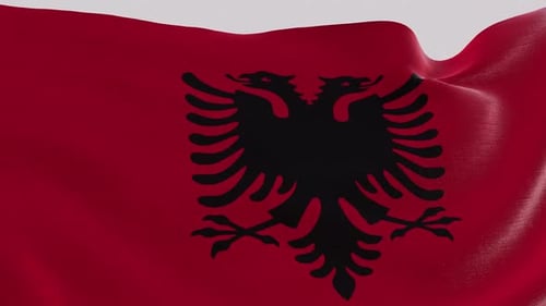 Albanian Flag Waving Seamless Loop