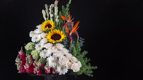 Tropical Hawaiian flower arrangement slider panning sunflower lily white roses daisy