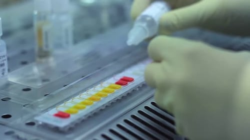 Processus de recherche biologique. Gros plan d'un chimiste scientifique versant un liquide dans un test