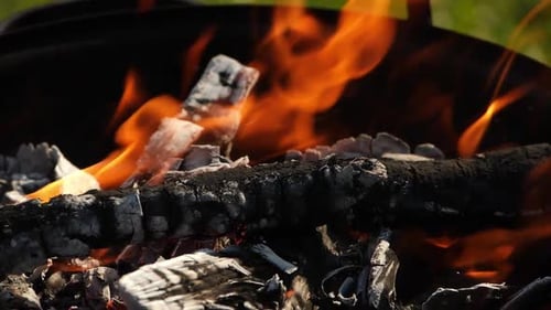 Flames and Burning Wood Fire Close-Up
