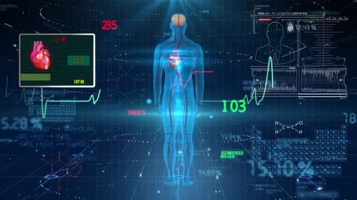 Digital Human Body Scan with Futuristic Medical Data HUD