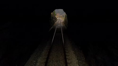 Slow passage through a railway tunnel, with the tracks separating at the exit.