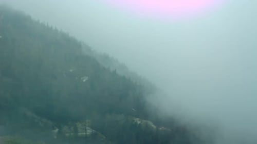 Misty Mountain with Trees and White Fog