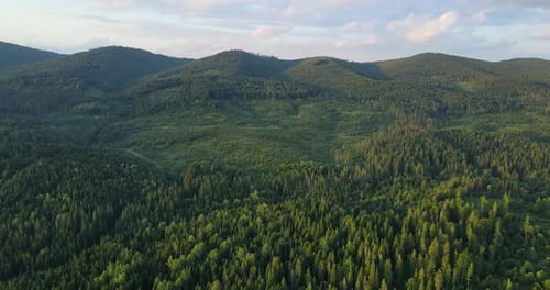 Aerial View of Lush Green Forested Hills Mountain Range Concept