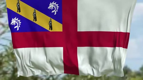 Waving Flag With Heraldic Symbols And Cross