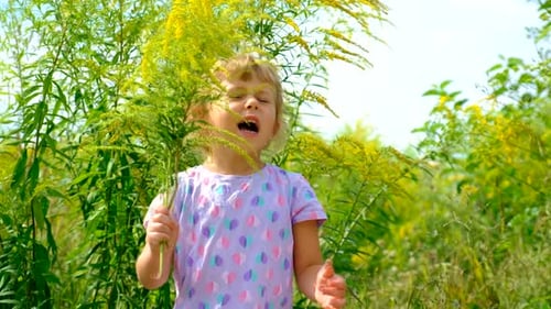 Child in a Field of Ragweed Elective Focus
