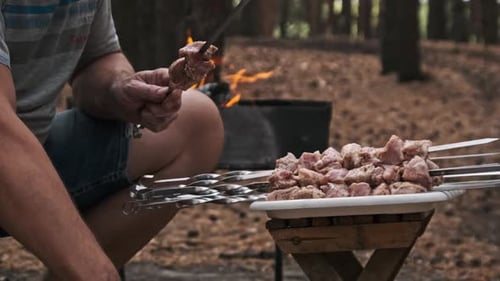 Marinated Pork Skewers Picnic BBQ Preparations