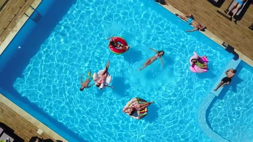 Aerial Friends Chilling in Swimming Pool with Inflatable Flamingo Swan Mattress Happy Young People