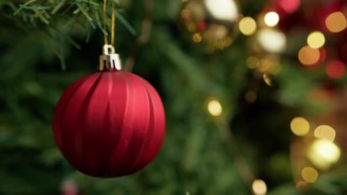 Red Ornament Hangs on Christmas Tree Branch