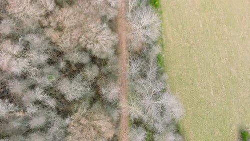 Aerial drone shot of grass with a path in a park