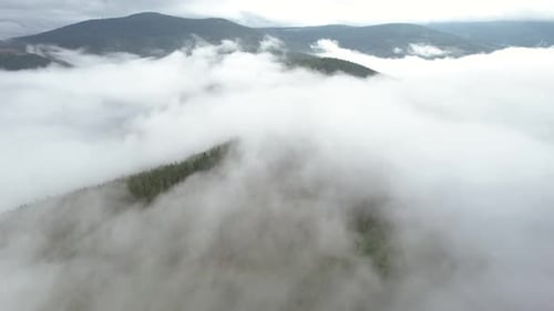 Aerial shot over the mountain woods on a misty day - the forest is producing clouds by a natural con