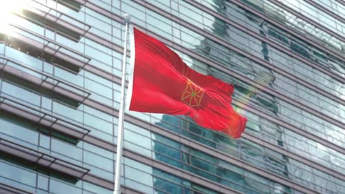 Bandera De Navarra Flag