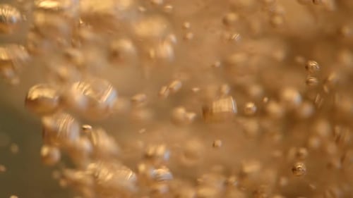 Golden Bubbles Moving Slowly in Macro Shot