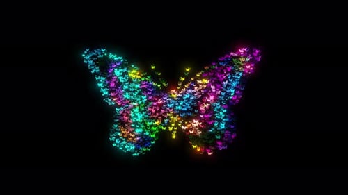 Butter Fly Logo Animation On Dark Black Background. Fantasy Decorative Background. Butterfly Moving