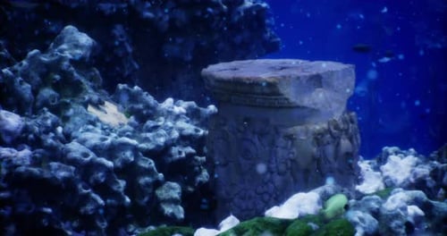 Underwater Ruins Showcase Ancient Architecture in a Coral Reef