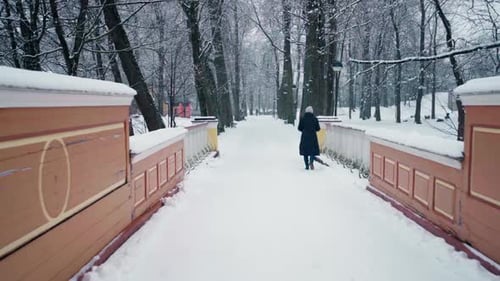 Tartu Bridge in the woods
