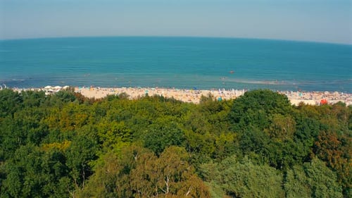 Luftaufnahme einer Drohne, die an einem sonnigen Sommertag über dem Wald in Richtung eines überfüllten Strandes mit Ostsee fliegt