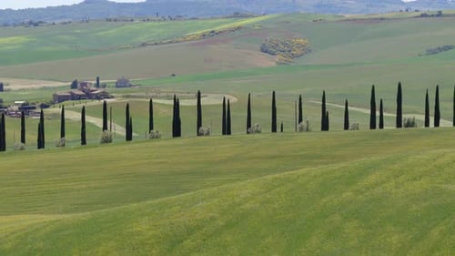 Cypress Tree Road and Rolling Hills in Val d’Orcia, Tuscany