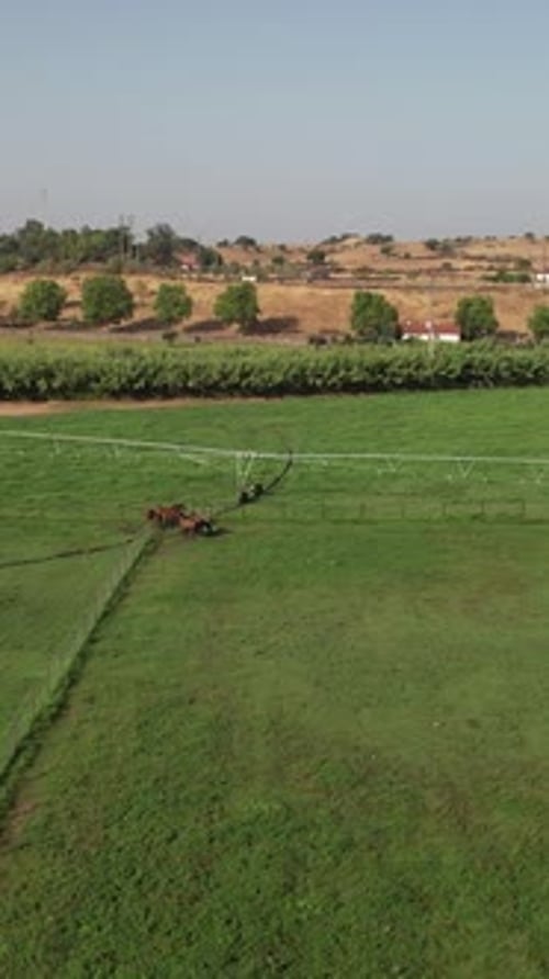 Irrigation Field System Aerial View