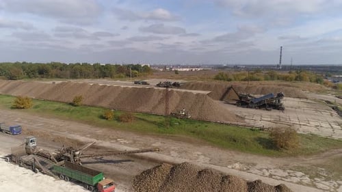 Vertikale Videoentladung der Ernte von Süßwurzeln in der landwirtschaftlichen Luftaufnahme